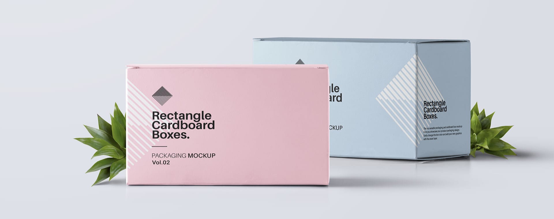 nokke_single_project_before